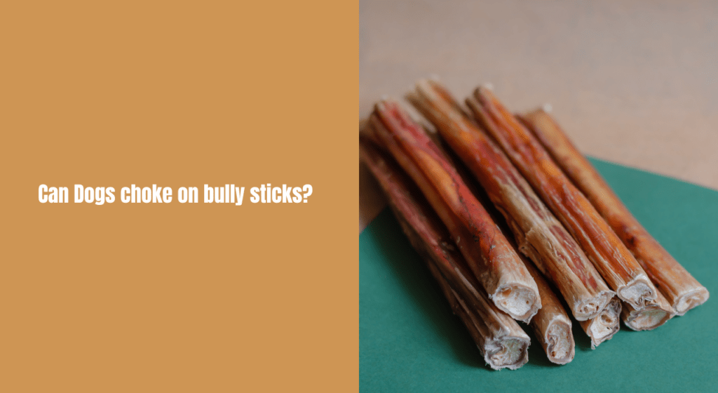 Can Dogs choke on bully sticks?