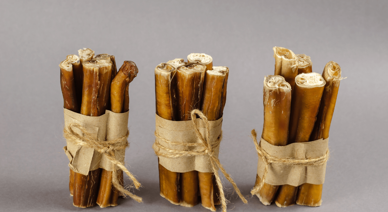 Why are bully sticks so expensive? Bully sticks Guideline for Dogs Owner
