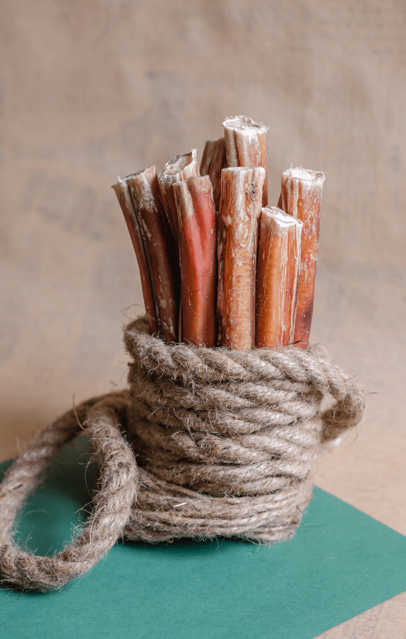 Assessing the Safety of Bully Sticks for Different Dogs
