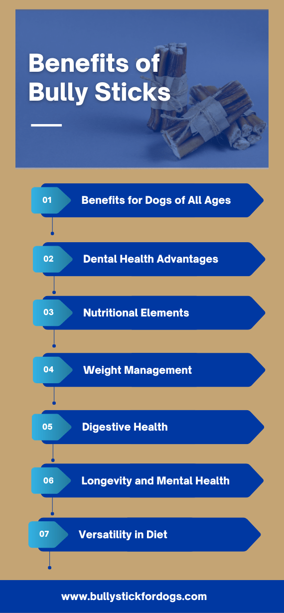 Benefits of Bully Sticks