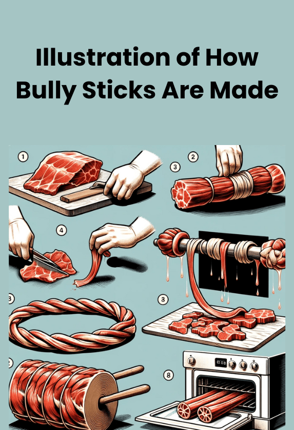 Illustration of How Bully Sticks Are Made
