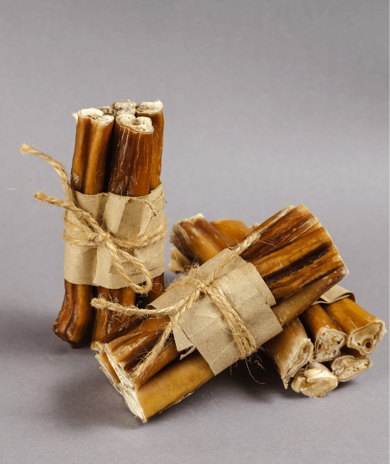 The History of Bully Sticks in Dog Care