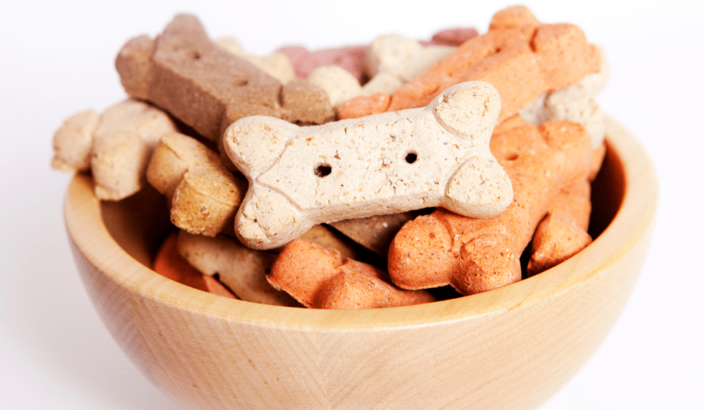 The Top 5 Bully Stick Dog Treats for Happy Pups!